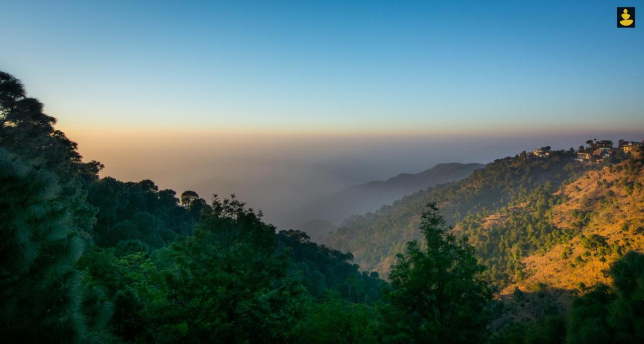 Livingstone 2Bhk Cozy Homestay In Kasauli Hills Exteriér fotografie